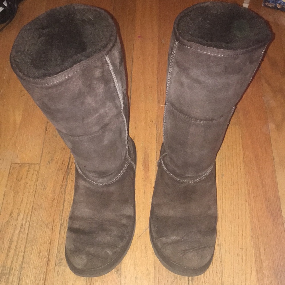 Brown Uggs Classic Tall